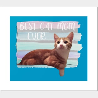 Best cat mom ever Posters and Art